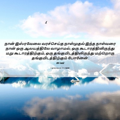 Picture 06 - 1 நாளாகமம் 17:5 TAMIRV - நான் இஸ்ரவேலை - Bible Verse Picture