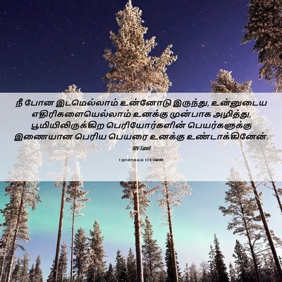 Picture 06 - 1 நாளாகமம் 17:8 TAMIRV - நீ போன இடமெல்லாம் - Bible Verse Picture