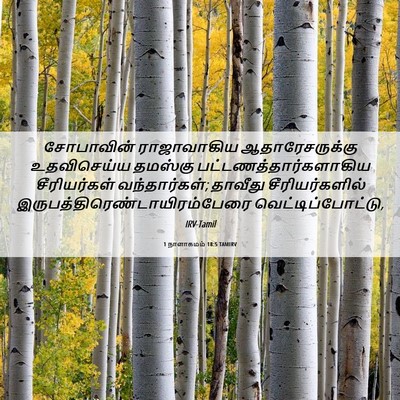 Picture 06 - 1 நாளாகமம் 18:5 TAMIRV - சோபாவின் - Bible Verse Picture