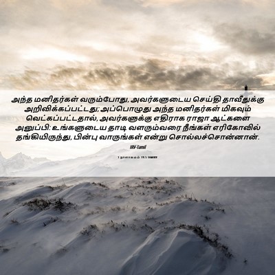 Picture 06 - 1 நாளாகமம் 19:5 TAMIRV - அந்த மனிதர்கள் - Bible Verse Picture