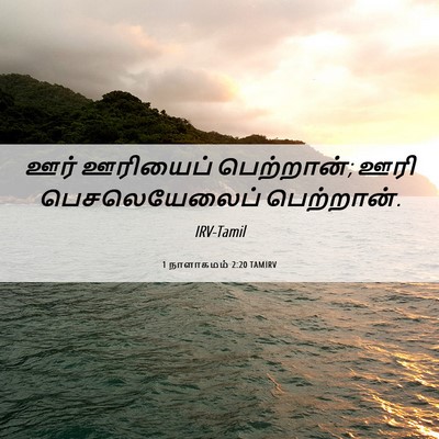Picture 06 - 1 நாளாகமம் 2:20 TAMIRV - ஊர் ஊரியைப் - Bible Verse Picture