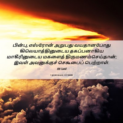 Picture 06 - 1 நாளாகமம் 2:21 TAMIRV - பின்பு, எஸ்ரோன் - Bible Verse Picture