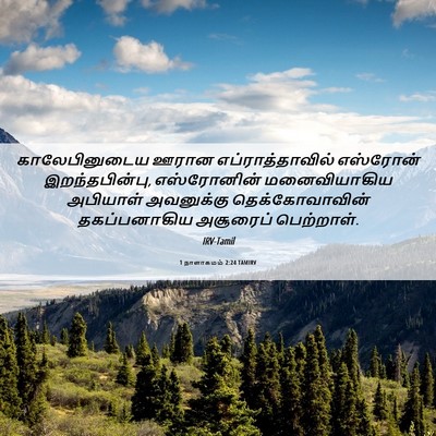 Picture 06 - 1 நாளாகமம் 2:24 TAMIRV - காலேபினுடைய ஊரான - Bible Verse Picture