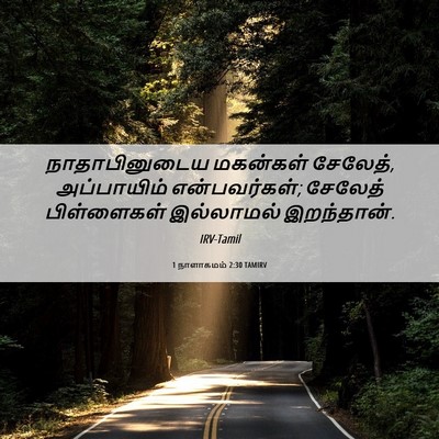Picture 06 - 1 நாளாகமம் 2:30 TAMIRV - நாதாபினுடைய - Bible Verse Picture