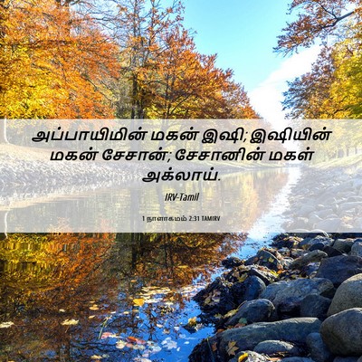 Picture 06 - 1 நாளாகமம் 2:31 TAMIRV - அப்பாயிமின் மகன் - Bible Verse Picture