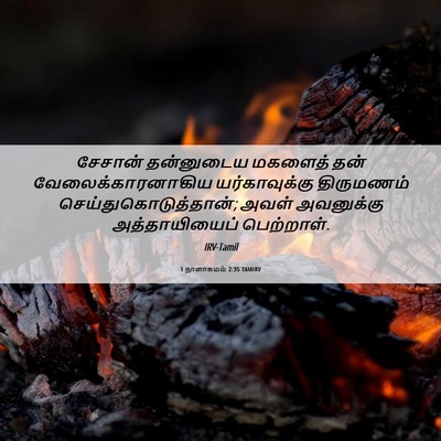 Picture 06 - 1 நாளாகமம் 2:35 TAMIRV - சேசான் தன்னுடைய - Bible Verse Picture