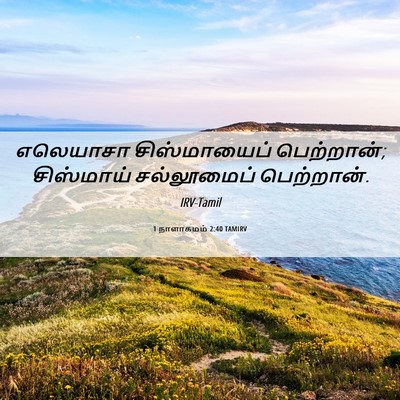 Picture 06 - 1 நாளாகமம் 2:40 TAMIRV - எலெயாசா - Bible Verse Picture
