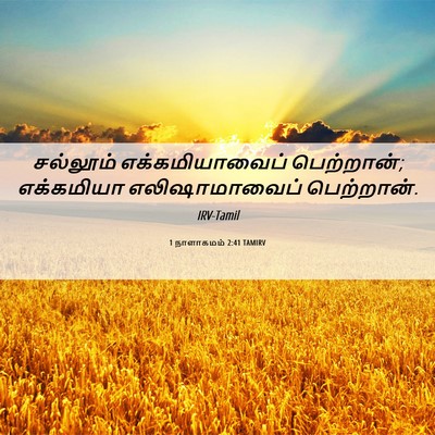 Picture 06 - 1 நாளாகமம் 2:41 TAMIRV - சல்லூம் - Bible Verse Picture