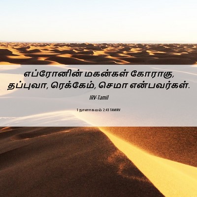 Picture 06 - 1 நாளாகமம் 2:43 TAMIRV - எப்ரோனின் மகன்கள் - Bible Verse Picture