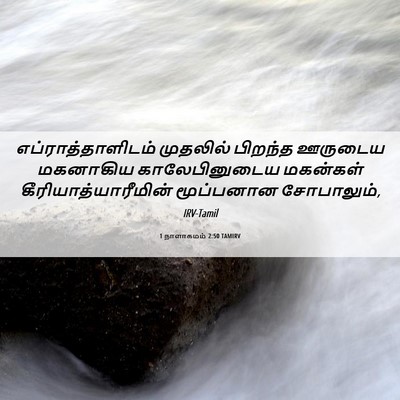 Picture 06 - 1 நாளாகமம் 2:50 TAMIRV - எப்ராத்தாளிடம் - Bible Verse Picture