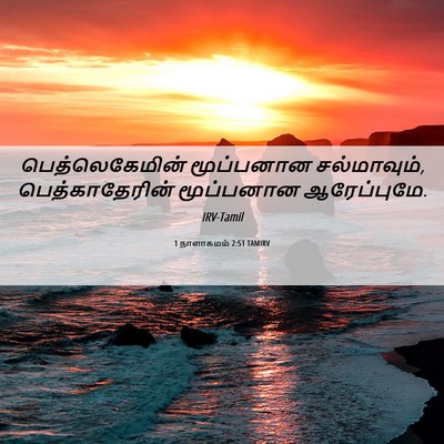 Picture 06 - 1 நாளாகமம் 2:51 TAMIRV - பெத்லெகேமின் - Bible Verse Picture