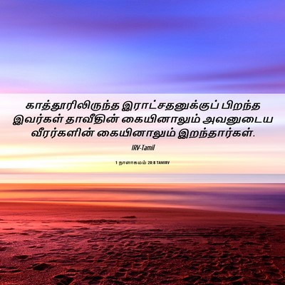 Picture 06 - 1 நாளாகமம் 20:8 TAMIRV - காத்தூரிலிருந்த - Bible Verse Picture