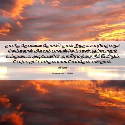 Picture 06 - 1 நாளாகமம் 21:8 TAMIRV - தாவீது தேவனை - Bible Verse Picture