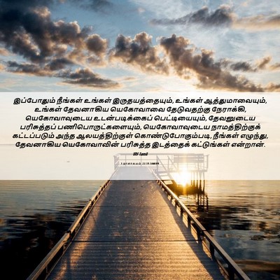 Picture 06 - 1 நாளாகமம் 22:19 TAMIRV - இப்போதும் நீங்கள் - Bible Verse Picture