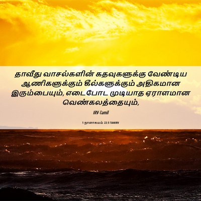 Picture 06 - 1 நாளாகமம் 22:3 TAMIRV - தாவீது வாசல்களின் - Bible Verse Picture