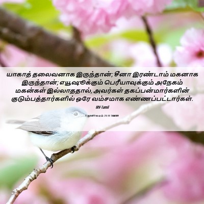 Picture 06 - 1 நாளாகமம் 23:11 TAMIRV - யாகாத் தலைவனாக - Bible Verse Picture