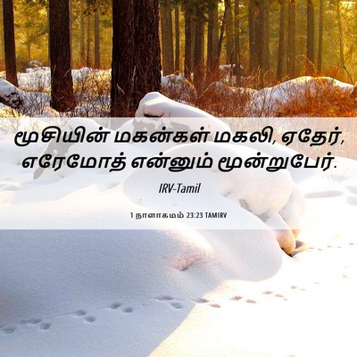 Picture 06 - 1 நாளாகமம் 23:23 TAMIRV - மூசியின் மகன்கள் - Bible Verse Picture