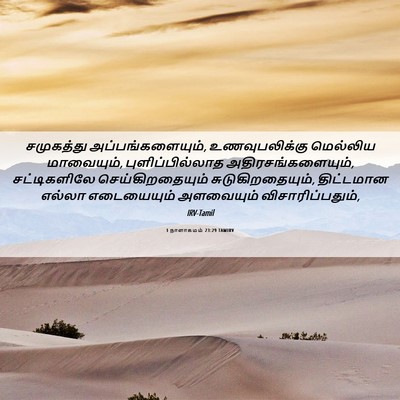Picture 06 - 1 நாளாகமம் 23:29 TAMIRV - சமுகத்து - Bible Verse Picture