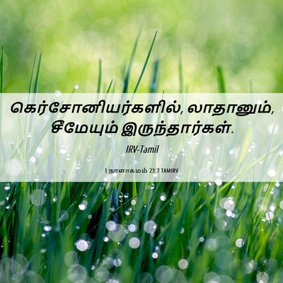 Picture 06 - 1 நாளாகமம் 23:7 TAMIRV - கெர்சோனியர்களில், - Bible Verse Picture