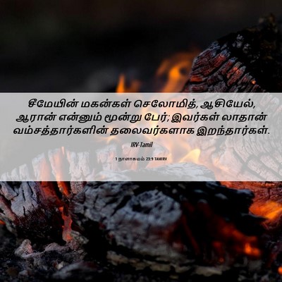 Picture 06 - 1 நாளாகமம் 23:9 TAMIRV - சீமேயின் மகன்கள் - Bible Verse Picture