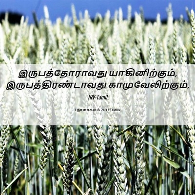 Picture 06 - 1 நாளாகமம் 24:17 TAMIRV - இருபத்தோராவது - Bible Verse Picture
