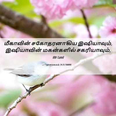 Picture 06 - 1 நாளாகமம் 24:25 TAMIRV - மீகாவின் - Bible Verse Picture