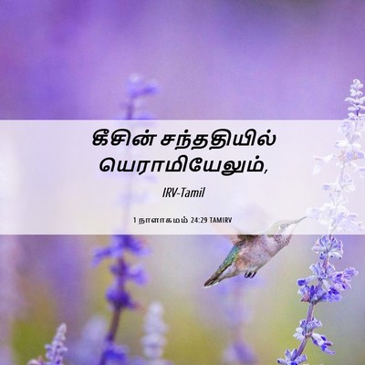 Picture 06 - 1 நாளாகமம் 24:29 TAMIRV - கீசின் சந்ததியில் - Bible Verse Picture