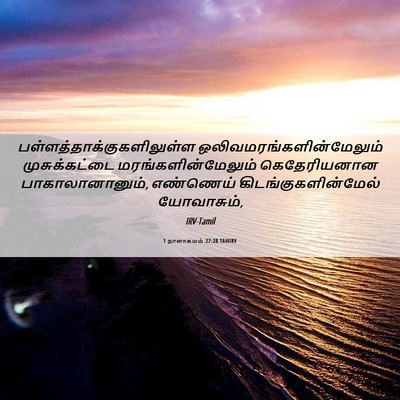 Picture 06 - 1 நாளாகமம் 27:28 TAMIRV -  - Bible Verse Picture