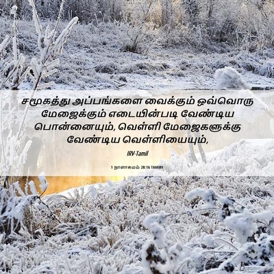 Picture 06 - 1 நாளாகமம் 28:16 TAMIRV - சமூகத்து - Bible Verse Picture
