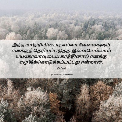 Picture 06 - 1 நாளாகமம் 28:19 TAMIRV - இந்த - Bible Verse Picture