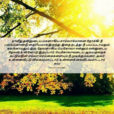 Picture 06 - 1 நாளாகமம் 28:20 TAMIRV - தாவீது தன்னுடைய - Bible Verse Picture