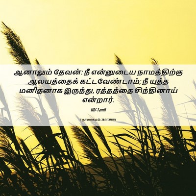 Picture 06 - 1 நாளாகமம் 28:3 TAMIRV - ஆனாலும் தேவன்: நீ - Bible Verse Picture