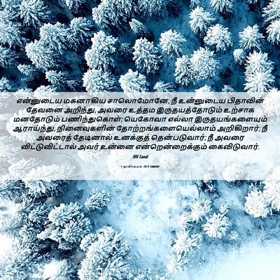 Picture 06 - 1 நாளாகமம் 28:9 TAMIRV - என்னுடைய மகனாகிய - Bible Verse Picture