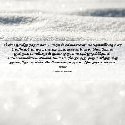 Picture 06 - 1 நாளாகமம் 29:1 TAMIRV - பின்பு தாவீது - Bible Verse Picture