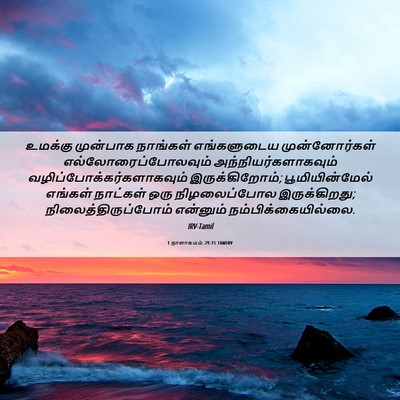 Picture 06 - 1 நாளாகமம் 29:15 TAMIRV - உமக்கு முன்பாக - Bible Verse Picture
