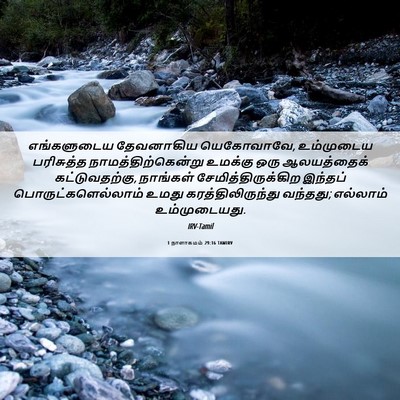 Picture 06 - 1 நாளாகமம் 29:16 TAMIRV - எங்களுடைய - Bible Verse Picture