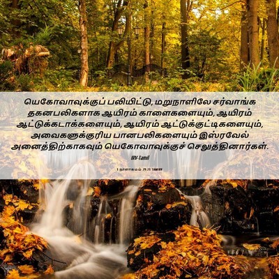 Picture 06 - 1 நாளாகமம் 29:21 TAMIRV - யெகோவாவுக்குப் - Bible Verse Picture
