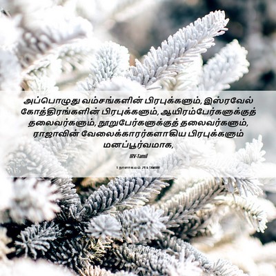 Picture 06 - 1 நாளாகமம் 29:6 TAMIRV - அப்பொழுது - Bible Verse Picture