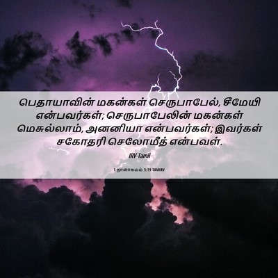 Picture 06 - 1 நாளாகமம் 3:19 TAMIRV - பெதாயாவின் - Bible Verse Picture