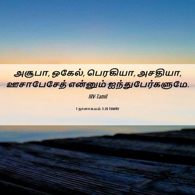 Picture 06 - 1 நாளாகமம் 3:20 TAMIRV - அசூபா, ஒகேல், - Bible Verse Picture