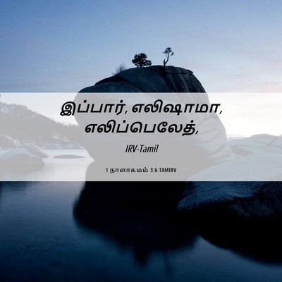 Picture 06 - 1 நாளாகமம் 3:6 TAMIRV - இப்பார், எலிஷாமா, - Bible Verse Picture