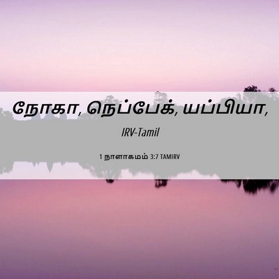 Picture 06 - 1 நாளாகமம் 3:7 TAMIRV - நோகா, நெப்பேக், - Bible Verse Picture
