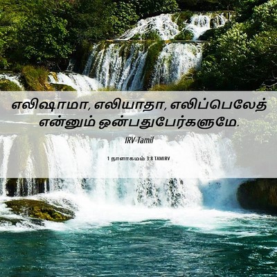Picture 06 - 1 நாளாகமம் 3:8 TAMIRV - எலிஷாமா, எலியாதா, - Bible Verse Picture