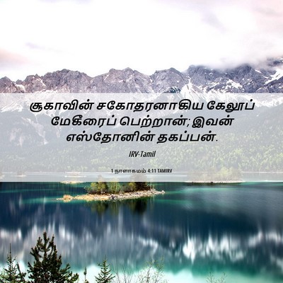 Picture 06 - 1 நாளாகமம் 4:11 TAMIRV - சூகாவின் - Bible Verse Picture