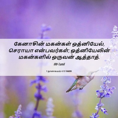 Picture 06 - 1 நாளாகமம் 4:13 TAMIRV - கேனாசின் மகன்கள் - Bible Verse Picture