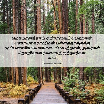 Picture 06 - 1 நாளாகமம் 4:14 TAMIRV - மெயோனத்தாய் - Bible Verse Picture