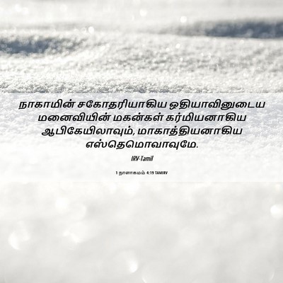 Picture 06 - 1 நாளாகமம் 4:19 TAMIRV - நாகாமின் - Bible Verse Picture