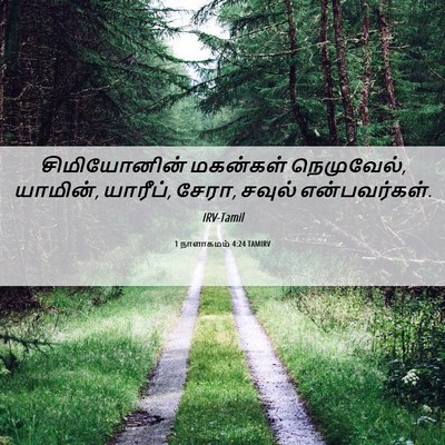 Picture 06 - 1 நாளாகமம் 4:24 TAMIRV - சிமியோனின் - Bible Verse Picture