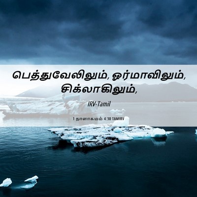 Picture 06 - 1 நாளாகமம் 4:30 TAMIRV - பெத்துவேலிலும், - Bible Verse Picture