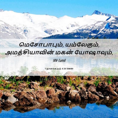 Picture 06 - 1 நாளாகமம் 4:34 TAMIRV - மெசோபாபும், - Bible Verse Picture